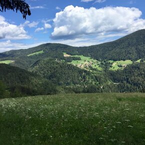 Anello tra Lanza e Corte Inferiore a Rumo passando per il "Lez" | © APT Val di Non 