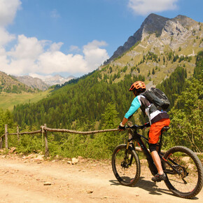 Ribor Wild - 1102 | © Madonna di Campiglio Azienda per il Turismo 