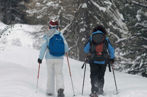 Sul percorso | © APT Val di Fiemme