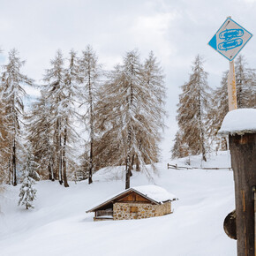 Itinerario con le racchette da neve tra le malghe di Bolentina | © APT Valli di Sole, Peio e Rabbi