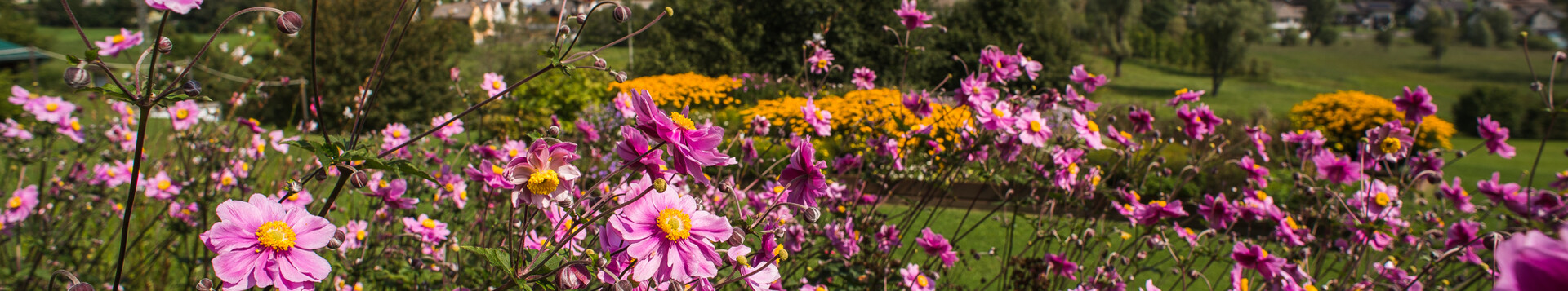 Nel Giardino d’Europa