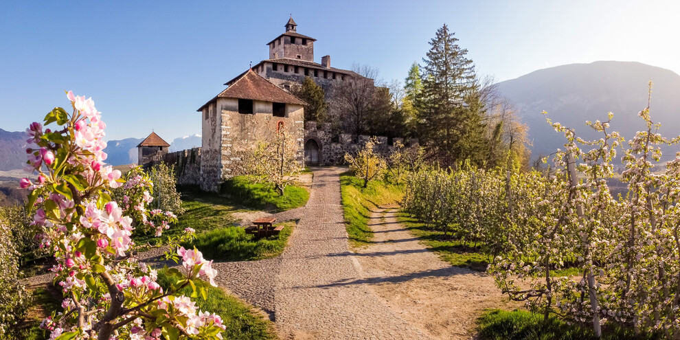 A picnic on the lawn in Castel Nanno