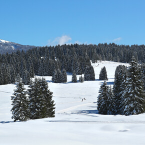 Altopiano di Vezzena inverno panorama | © Altopiano di Vezzena inverno panorama