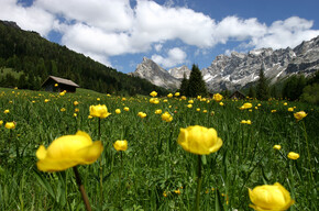 Reservatnetz - Val di Fassa | © Archivio Immagini ApT Val di Fassa - Foto di Nicola Angeli