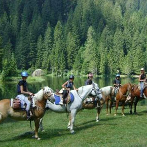 Centro Equitazione Alpina Val di Sole