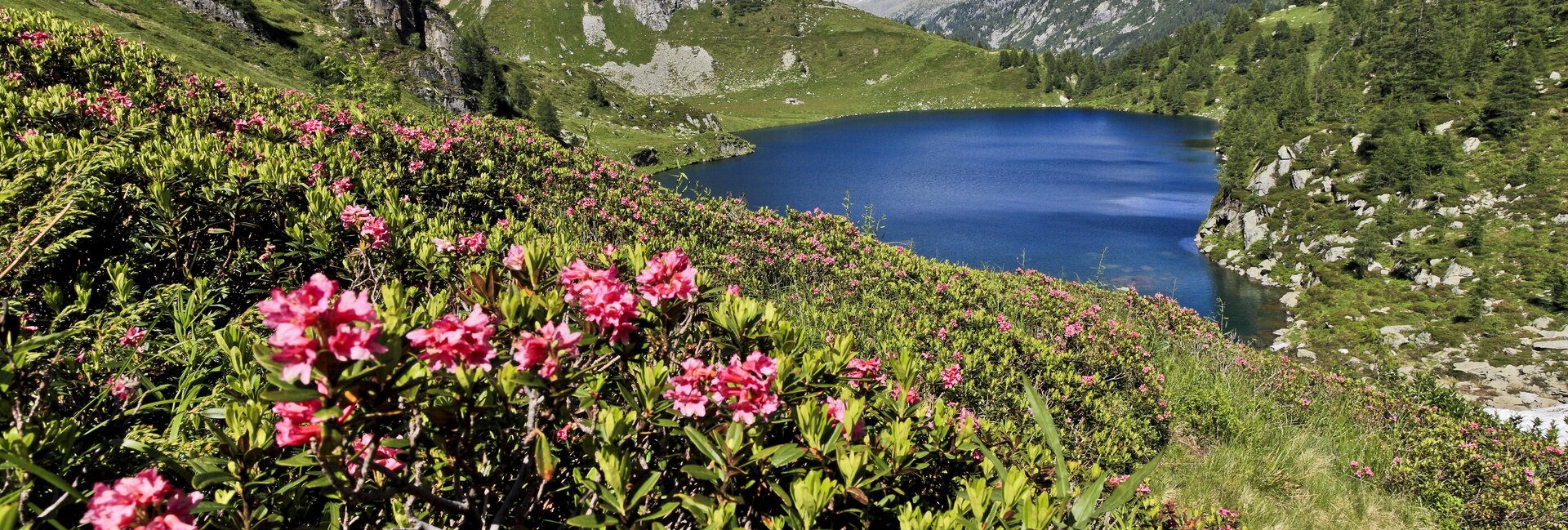Parco Naturale Adamello Brenta