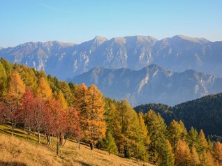 Valsugana - Lagorai - Novaledo - Panorama dalla bassa Malga Masi
