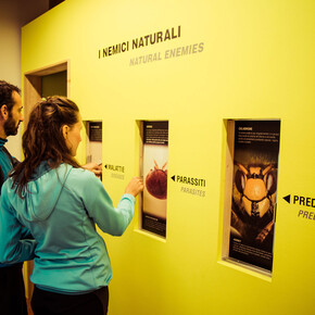 Val di Sole - Croviana - MMape - Mulino Museo dell'ape
