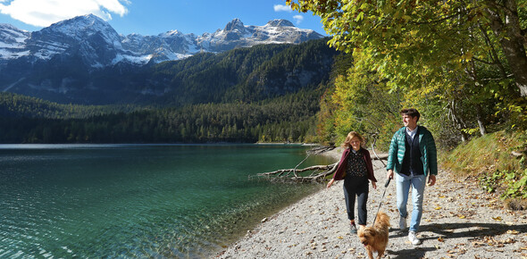 Val di Non - Lago di Tovel - Passeggiata con cane 