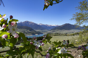 Santa Giustina See - Der große Staudamm im Tal der Canyons
