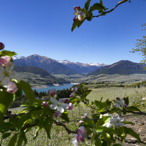 Santa Giustina See - Der große Staudamm im Tal der Canyons